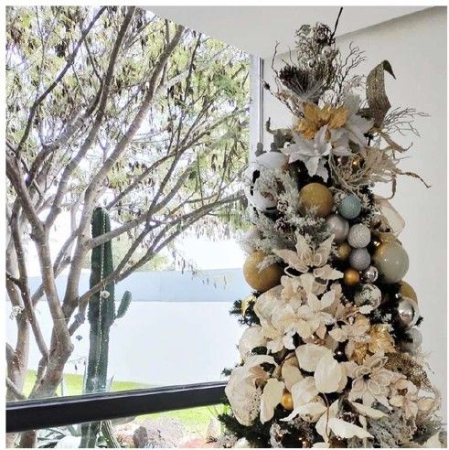 Árbol de navidad dorado junto a ventana en residencia